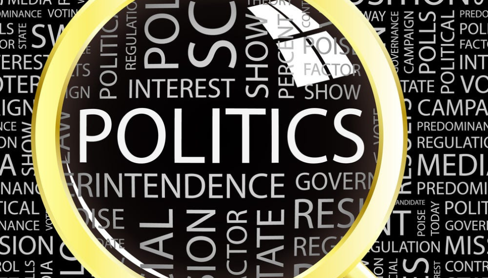 role of politics in society